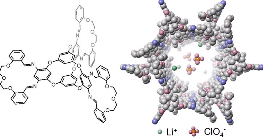 Publication Image